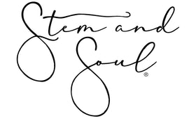 Stem and Soul logo
