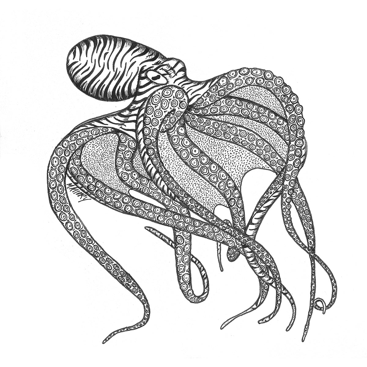 Octopus Illustration 8x10" Print