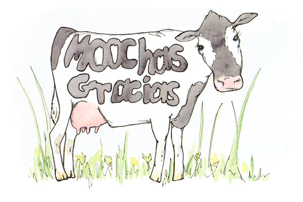 Image of a thank you card with a black and white cow in a field. The words "muchas gracias" are hidden in the cow's spots.