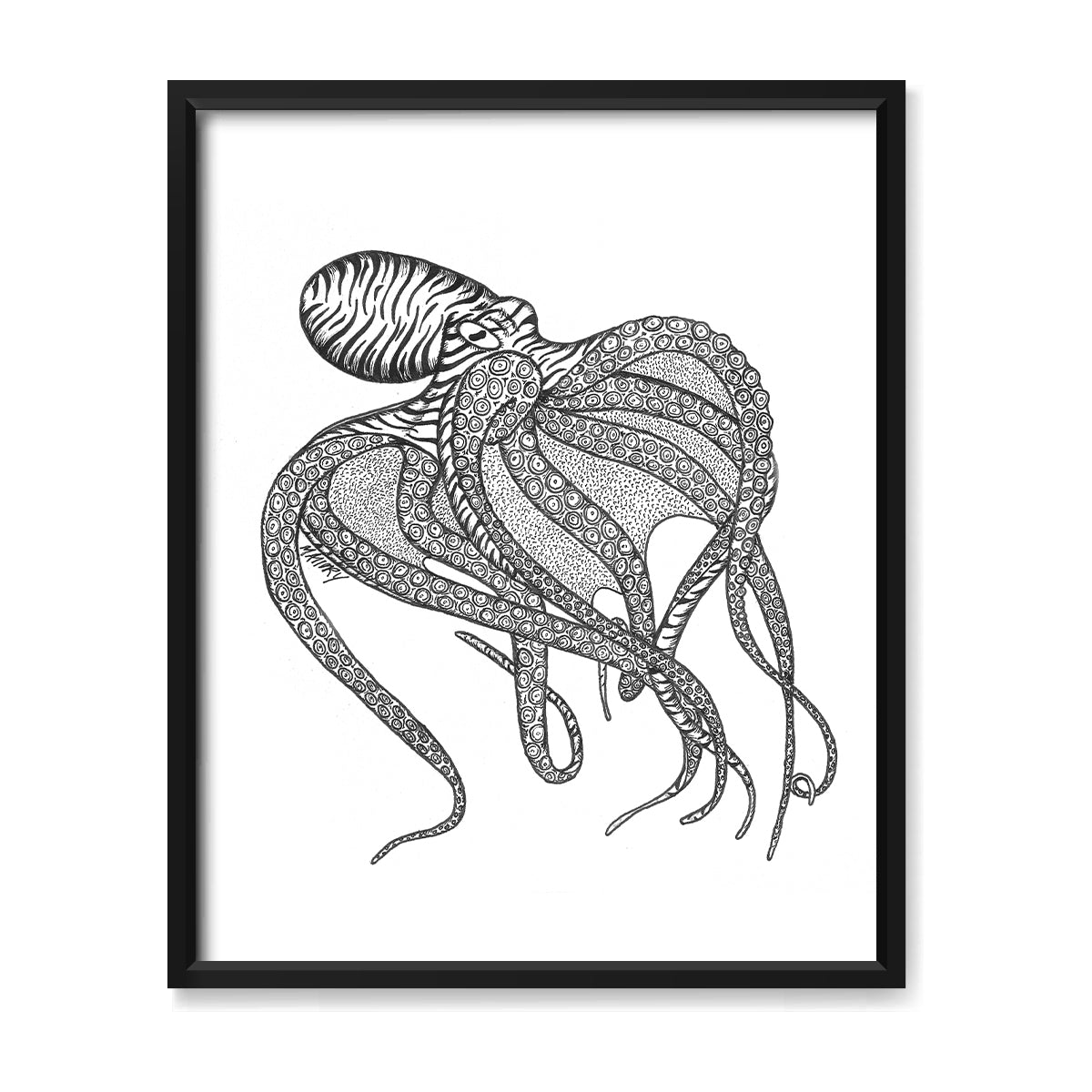Octopus Illustration 8x10